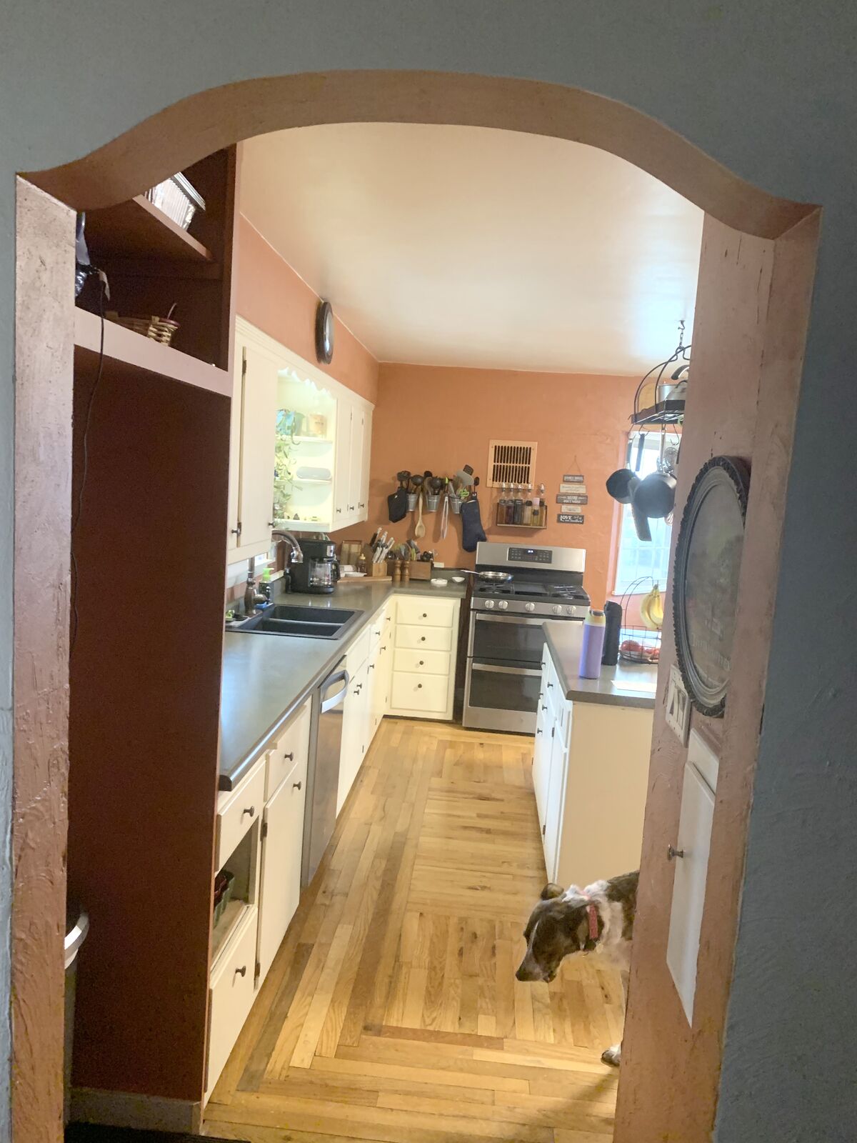 Back door before