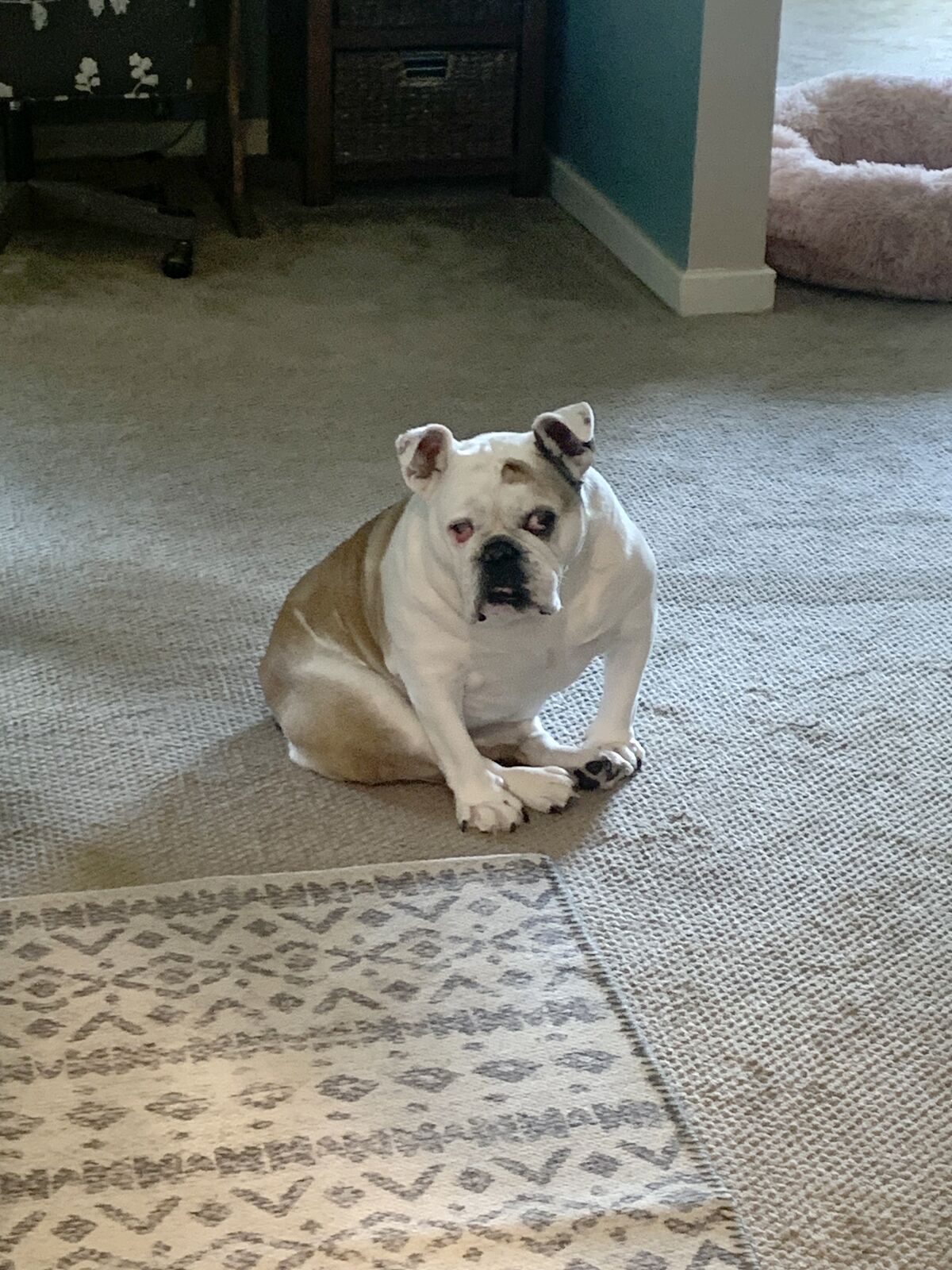 The Supervisor